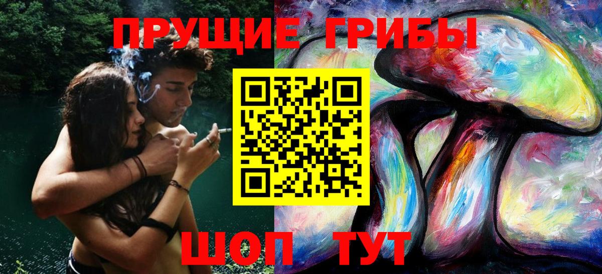 Кашира  Псилоцибиновые грибы мицелий  Вход с VPN 