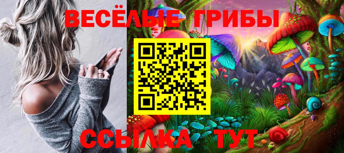Псилоцибиновые грибы Magic Shrooms Кашира