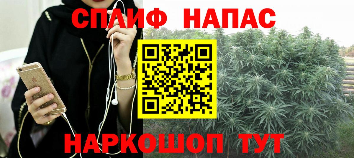Каннабис OG Kush Кашира